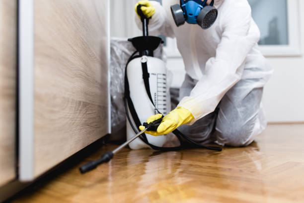 Best Exterminator Services  in Mckinley, PA